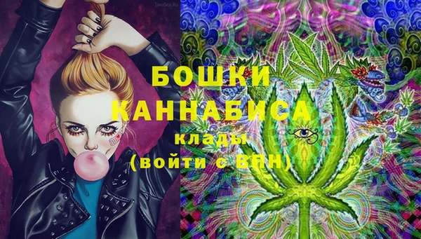 мескалин Анжеро-Судженск