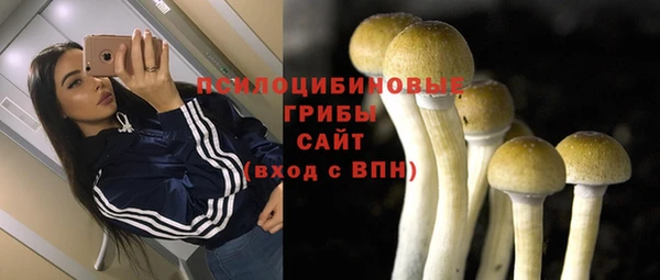 дживик Нефтегорск