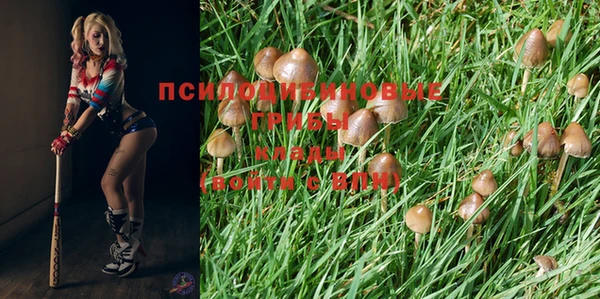дживик Нефтегорск